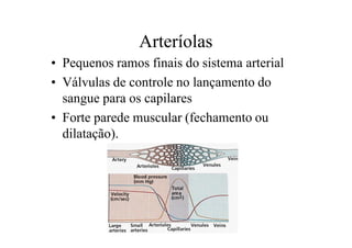 Arteríolas
• Pequenos ramos finais do sistema arterial
• Válvulas de controle no lançamento do
sangue para os capilares
• Forte parede muscular (fechamento ou
dilatação).
 