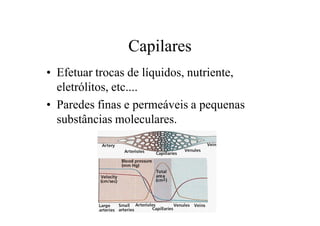 Capilares
• Efetuar trocas de líquidos, nutriente,
eletrólitos, etc....
• Paredes finas e permeáveis a pequenas
substâncias moleculares.
 
