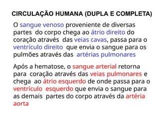 CIRCULAÇÃO HUMANA (DUPLA E COMPLETA)
O sangue venoso proveniente de diversas
partes do corpo chega ao átrio direito do
coração através das veias cavas, passa para o
ventrículo direito que envia o sangue para os
pulmões através das artérias pulmonares
Após a hematose, o sangue arterial retorna
para coração através das veias pulmonares e
chega ao átrio esquerdo de onde passa para o
ventrículo esquerdo que envia o sangue para
as demais partes do corpo através da artéria
aorta
 