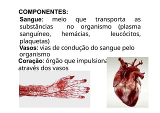 COMPONENTES:
Sangue: meio que transporta as
substâncias no organismo (plasma
sanguíneo, hemácias, leucócitos,
plaquetas)
Vasos: vias de condução do sangue pelo
organismo
Coração: órgão que impulsiona o sangue
através dos vasos
 