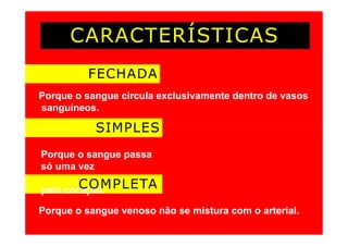 CARACTERÍSTICAS
FECHADA
Porque o sangue circula exclusivamente dentro de vasos
sanguíneos.
SIMPLES
Porque o sangue passa
só uma vez
pelo coração.
COMPLETA
Porque o sangue venoso não se mistura com o arterial.
 