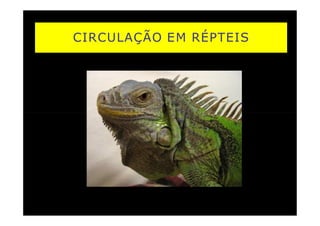 CIRCULAÇÃO EM RÉPTEIS
 