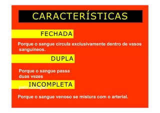 CARACTERÍSTICAS
FECHADA
Porque o sangue circula exclusivamente dentro de vasos
sanguíneos.
DUPLA
Porque o sangue passa
duas vezes
pelo coração.
INCOMPLETA
Porque o sangue venoso se mistura com o arterial.
 