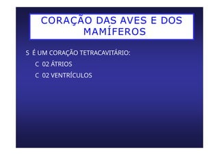 CORAÇÃO DAS AVES E DOS
MAMÍFEROS
S É UM CORAÇÃO TETRACAVITÁRIO:
C 02 ÁTRIOS
C 02 VENTRÍCULOS
 