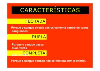 CARACTERÍSTICAS
FECHADA
Porque o sangue circula exclusivamente dentro de vasos
sangüíneos.
DUPLA
Porque o sangue passa
duas vezes
pelo coração.
COMPLETA
Porque o sangue venoso não se mistura com o arterial.
 