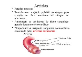 Artérias
• Paredes espessas
• Transformam a ejeção pulsátil do sangue pelo
coração em fluxo constante até atingir as
arteríolas.
• Amortecem as oscilações do fluxo sanguíneo
gerado durante o ciclo cardíaco
• *Importante: A irrigação sanguínea do miocárdio
é realizada pelas artérias coronárias
Túnica média
Túnica interna
 