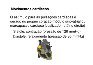 Movimentos cardíacos
O estímulo para as pulsações cardíacas é
gerado no próprio coração (nódulo sino-atrial ou
marcapasso cardíaco localizado no átrio direito)
Sístole: contração (pressão de 120 mmHg)Sístole: contração (pressão de 120 mmHg)
Diástole: relaxamento (pressão de 80 mmHg)
 