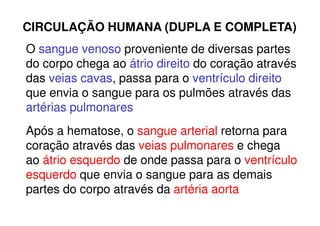 CIRCULAÇÃO HUMANA (DUPLA E COMPLETA)
O sangue venoso proveniente de diversas partes
do corpo chega ao átrio direito do coração através
das veias cavas, passa para o ventrículo direito
que envia o sangue para os pulmões através das
artérias pulmonaresartérias pulmonares
Após a hematose, o sangue arterial retorna para
coração através das veias pulmonares e chega
ao átrio esquerdo de onde passa para o ventrículo
esquerdo que envia o sangue para as demais
partes do corpo através da artéria aorta
 