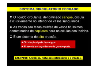 SISTEMA CIRCULATÓRIO FECHADOSISTEMA CIRCULATÓRIO FECHADO
O líquido circulante, denominado sangue, circula
exclusivamente no interior de vasos sanguíneos.
As trocas são feitas através de vasos finíssimos
denominados de capilares para as células dos tecidos.
É um sistema de alta pressão.
Circulação rápida do sangue.
Presente em organismos de grande porte.
EXEMPLOSEXEMPLOS: Anelídeos, moluscos cefalópodes e cordados.: Anelídeos, moluscos cefalópodes e cordados.
 