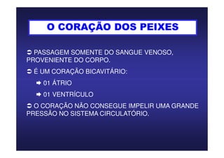 O CORAÇÃO DOS PEIXES
PASSAGEM SOMENTE DO SANGUE VENOSO,
PROVENIENTE DO CORPO.
É UM CORAÇÃO BICAVITÁRIO:
01 ÁTRIO
01 VENTRÍCULO
O CORAÇÃO NÃO CONSEGUE IMPELIR UMA GRANDE
PRESSÃO NO SISTEMA CIRCULATÓRIO.
 