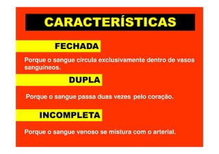 CARACTERÍSTICAS
FECHADA
DUPLA
Porque o sangue circula exclusivamente dentro de vasos
sanguíneos.
DUPLA
INCOMPLETA
Porque o sangue passa duas vezes pelo coração.
Porque o sangue venoso se mistura com o arterial.
 