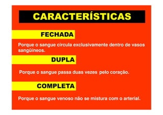 CARACTERÍSTICAS
FECHADA
DUPLA
Porque o sangue circula exclusivamente dentro de vasos
sangüíneos.
DUPLA
COMPLETA
Porque o sangue passa duas vezes pelo coração.
Porque o sangue venoso não se mistura com o arterial.
 