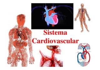 SistemaSistemaSistemaSistema
CardiovascularCardiovascular
 