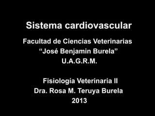 Sistema cardiovascular
Facultad de Ciencias Veterinarias
    “José Benjamin Burela”
           U.A.G.R.M.

     Fisiología Veterinaria II
   Dra. Rosa M. Teruya Burela
              2013
 