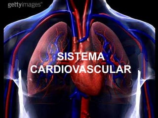 SISTEMA
CARDIOVASCULAR
 