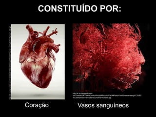 CONSTITUÍDO POR:
Coração
http://25.media.tumblr.com/014439dd481ffb4c95524ca2276c9467/tumblr_mh7xelD1Fj1rfbg1yo1_250.gif
http://4.bp.blogspot.com/-
s3Z7nnhNJE4/T98K8Cm4kzI/AAAAAAAAIhc/PaDMfPdklcY/s400/vasos+sang%C3%BC
%C3%ADneos+da+cabe%C3%A7a+humana.jpg
Vasos sanguíneos
 