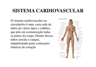 SISTEMA CARDIOVASCULAR
O sistema cardiovascular ou
circulatório é uma vasta rede de
tubos de vários tipos e calibres,
que põe em comunicação todasque põe em comunicação todas
as partes do corpo. Dentro desses
tubos circula o sangue,
impulsionado pelas contrações
rítmicas do coração.
 