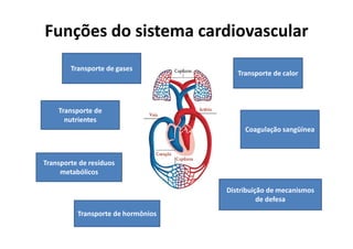 Funções do sistema cardiovascular
Transporte de gases
Transporte de
nutrientes
Transporte de calor
Transporte de resíduos
metabólicos
Transporte de hormônios
Distribuição de mecanismos
de defesa
Coagulação sangüínea
 