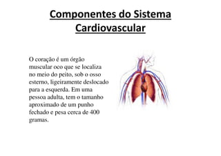 Componentes do Sistema
Cardiovascular
O coração é um órgão
muscular oco que se localiza
no meio do peito, sob o osso
esterno, ligeiramente deslocado
para a esquerda. Em uma
pessoa adulta, tem o tamanho
aproximado de um punho
fechado e pesa cerca de 400
gramas.
 
