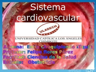 Sistema
cardiovascular
 