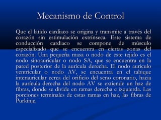 Mecanismo de ControlMecanismo de Control
Que el latido cardiaco se origina y transmite a través delQue el latido cardiaco se origina y transmite a través del
corazón sin estimulación extrínseca. Este sistema decorazón sin estimulación extrínseca. Este sistema de
conducción cardiaco se compone de músculoconducción cardiaco se compone de músculo
especializado que se encuentra en ciertas zonas delespecializado que se encuentra en ciertas zonas del
corazón. Una pequeña masa o nodo de este tejido es elcorazón. Una pequeña masa o nodo de este tejido es el
nodo sinoauricular o nodo SA, que se encuentra en lanodo sinoauricular o nodo SA, que se encuentra en la
pared posterior de la aurícula derecha. El nodo auriculopared posterior de la aurícula derecha. El nodo auriculo
ventricular o nodo AV, se encuentra en el tabiqueventricular o nodo AV, se encuentra en el tabique
interauricular cerca del orificio del seno coronario, haciainterauricular cerca del orificio del seno coronario, hacia
la aurícula derecha del nodo AV se extiende un haz dela aurícula derecha del nodo AV se extiende un haz de
fibras, donde se divide en ramas derecha e izquierda. Lasfibras, donde se divide en ramas derecha e izquierda. Las
porciones terminales de estas ramas en haz, las fibras deporciones terminales de estas ramas en haz, las fibras de
Purkinje.Purkinje.
 