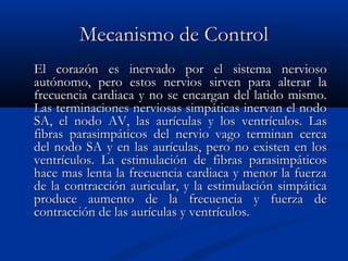 Mecanismo de ControlMecanismo de Control
El corazón es inervado por el sistema nerviosoEl corazón es inervado por el sistema nervioso
autónomo, pero estos nervios sirven para alterar laautónomo, pero estos nervios sirven para alterar la
frecuencia cardiaca y no se encargan del latido mismo.frecuencia cardiaca y no se encargan del latido mismo.
Las terminaciones nerviosas simpáticas inervan el nodoLas terminaciones nerviosas simpáticas inervan el nodo
SA, el nodo AV, las aurículas y los ventrículos. LasSA, el nodo AV, las aurículas y los ventrículos. Las
fibras parasimpáticos del nervio vago terminan cercafibras parasimpáticos del nervio vago terminan cerca
del nodo SA y en las aurículas, pero no existen en losdel nodo SA y en las aurículas, pero no existen en los
ventrículos. La estimulación de fibras parasimpáticosventrículos. La estimulación de fibras parasimpáticos
hace mas lenta la frecuencia cardiaca y menor la fuerzahace mas lenta la frecuencia cardiaca y menor la fuerza
de la contracción auricular, y la estimulación simpáticade la contracción auricular, y la estimulación simpática
produce aumento de la frecuencia y fuerza deproduce aumento de la frecuencia y fuerza de
contracción de las aurículas y ventrículos.contracción de las aurículas y ventrículos.
 