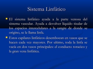 Sistema LinfáticoSistema Linfático
 El sistema linfático ayuda a la parte venosa delEl sistema linfático ayuda a la parte venosa del
sistema vascular. Ayuda a devolver líquido tisular desistema vascular. Ayuda a devolver líquido tisular de
los espacios intercelulares a la sangre de donde selos espacios intercelulares a la sangre de donde se
origino, se le llama linfa.origino, se le llama linfa.
 Estos capilares linfáticos desembocan en vasos que seEstos capilares linfáticos desembocan en vasos que se
hacen cada vez mayores. Por ultimo, toda la linfa sehacen cada vez mayores. Por ultimo, toda la linfa se
vacía en dos vasos principales: el conducto toracico yvacía en dos vasos principales: el conducto toracico y
la gran vena linfática.la gran vena linfática.
 