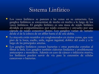 Sistema LinfáticoSistema Linfático
 Los vasos linfáticos se parecen a las venas en su estructura. LosLos vasos linfáticos se parecen a las venas en su estructura. Los
ganglios linfáticos se encuentran de trecho en trecho a lo largo de losganglios linfáticos se encuentran de trecho en trecho a lo largo de los
vasos linfáticos. El ganglio linfático es una masa de tejido linfáticovasos linfáticos. El ganglio linfático es una masa de tejido linfático
dividida en compartimientos por tejido conectivo y envuelto por unadividida en compartimientos por tejido conectivo y envuelto por una
cápsula de tejido conectivo denso. Los ganglios varían de tamañocápsula de tejido conectivo denso. Los ganglios varían de tamaño
desde el de la cabeza de un alfiler hasta el de una alubia.desde el de la cabeza de un alfiler hasta el de una alubia.
 La mayoría están reunidos en conglomerados en ciertas zonas, que son:La mayoría están reunidos en conglomerados en ciertas zonas, que son:
pisó de la boca, cuello, axila, region inguinal, doblez del codo y a lopisó de la boca, cuello, axila, region inguinal, doblez del codo y a lo
largo de las principales arterias.largo de las principales arterias.
 Los ganglios linfáticos extraen bacterias y otras partículas extrañas alLos ganglios linfáticos extraen bacterias y otras partículas extrañas al
filtrar la linfa. Los ganglios también elaboran lindacitos y posiblementefiltrar la linfa. Los ganglios también elaboran lindacitos y posiblemente
anticuerpos y monolitos. Además en caso de cáncer o infección masiva,anticuerpos y monolitos. Además en caso de cáncer o infección masiva,
los linfáticos pueden servir de vía para la extensión de célulaslos linfáticos pueden servir de vía para la extensión de células
cancerosas o bacterias.cancerosas o bacterias.
 