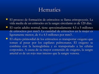 HematíesHematíes
 El proceso de formación de eritrocitos se llama eritropoyesis. LaEl proceso de formación de eritrocitos se llama eritropoyesis. La
vida media de un eritrocito en la sangre circulante es de 120 días.vida media de un eritrocito en la sangre circulante es de 120 días.
 El varón adulto normal, tiene aproximadamente 4.5 a 5 millonesEl varón adulto normal, tiene aproximadamente 4.5 a 5 millones
de eritrocitos por mm3. La cantidad de eritrocitos en la mujer esde eritrocitos por mm3. La cantidad de eritrocitos en la mujer es
ligeramente menor, de 4 a 4.5 millones por mm3 .ligeramente menor, de 4 a 4.5 millones por mm3 .
 El objeto primordial de los eritrocitos es transportar oxigeno queEl objeto primordial de los eritrocitos es transportar oxigeno que
toman al pasar por los capilares pulmonares. El oxigeno setoman al pasar por los capilares pulmonares. El oxigeno se
combina con la hemoglobina y es transportado a las célulascombina con la hemoglobina y es transportado a las células
corporales. A causa de su mayor contenido de oxigeno, la sangrecorporales. A causa de su mayor contenido de oxigeno, la sangre
arterial es de un rojo mas intenso que la sangre venosa.arterial es de un rojo mas intenso que la sangre venosa.
 