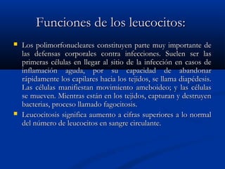 Funciones de los leucocitos:Funciones de los leucocitos:
 Los polimorfonucleares constituyen parte muy importante deLos polimorfonucleares constituyen parte muy importante de
las defensas corporales contra infecciones. Suelen ser laslas defensas corporales contra infecciones. Suelen ser las
primeras células en llegar al sitio de la infección en casos deprimeras células en llegar al sitio de la infección en casos de
inflamación aguda, por su capacidad de abandonarinflamación aguda, por su capacidad de abandonar
rápidamente los capilares hacia los tejidos, se llama diapédesis.rápidamente los capilares hacia los tejidos, se llama diapédesis.
Las células manifiestan movimiento ameboideo; y las célulasLas células manifiestan movimiento ameboideo; y las células
se mueven. Mientras están en los tejidos, capturan y destruyense mueven. Mientras están en los tejidos, capturan y destruyen
bacterias, proceso llamado fagocitosis.bacterias, proceso llamado fagocitosis.
 Leucocitosis significa aumento a cifras superiores a lo normalLeucocitosis significa aumento a cifras superiores a lo normal
del número de leucocitos en sangre circulante.del número de leucocitos en sangre circulante.
 