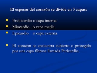 El espesor del corazón se divide en 3 capas:El espesor del corazón se divide en 3 capas:
 Endocardio o capa internaEndocardio o capa interna
 Miocardio o capa mediaMiocardio o capa media
 Epicardio o capa externaEpicardio o capa externa
 El corazón se encuentra cubierto o protegidoEl corazón se encuentra cubierto o protegido
por una capa fibrosa llamada Pericardio.por una capa fibrosa llamada Pericardio.
 