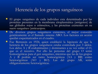 Herencia de los grupos sanguíneosHerencia de los grupos sanguíneos
 El grupo sanguíneo de cada individuo esta determinado por lasEl grupo sanguíneo de cada individuo esta determinado por las
proteínas presentes en la membrana citoplasmática (antigenos) deproteínas presentes en la membrana citoplasmática (antigenos) de
sus glóbulos rojos o eritrocitos, y las proteínas existentes en susus glóbulos rojos o eritrocitos, y las proteínas existentes en su
suero sanguíneo (anticuerpos.suero sanguíneo (anticuerpos.
 De diversos grupos sanguíneos existentes, el mejor conocidoDe diversos grupos sanguíneos existentes, el mejor conocido
genéticamente es el llamado sistema ABO. Los factores en accióngenéticamente es el llamado sistema ABO. Los factores en acción
quedan esquematizados en el cuadro.quedan esquematizados en el cuadro.
 Fue Bernstein en 1924, quien estableció la hipótesis de que laFue Bernstein en 1924, quien estableció la hipótesis de que la
herencia de los grupos sanguíneos estaba controlada por 3 alelos.herencia de los grupos sanguíneos estaba controlada por 3 alelos.
Los alelos A y B codominantes y dominantes a su vez sobre el O,Los alelos A y B codominantes y dominantes a su vez sobre el O,
que es el recesivo. Por ello las personas del grupo O seránque es el recesivo. Por ello las personas del grupo O serán
homocigóticas para el gen sanguíneo, mientras que las de los gruposhomocigóticas para el gen sanguíneo, mientras que las de los grupos
A y B podrán ser tanto homocigóticas (AA y BB) comoA y B podrán ser tanto homocigóticas (AA y BB) como
heterocigóticas (AO y BO). Las del grupo AB, seránheterocigóticas (AO y BO). Las del grupo AB, serán
obligatoriamente heterocigóticas.obligatoriamente heterocigóticas.
 