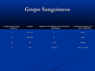 Fenotipo (tipo de grupoFenotipo (tipo de grupo
sanguíneo)sanguíneo)
GenotipoGenotipo Antigenos de la membrana de los eritrocitos oAntigenos de la membrana de los eritrocitos o
aglutinogenosaglutinogenos
Anticuerpos presentes en elAnticuerpos presentes en el
suero o aglutininassuero o aglutininas
AA AA o AOAA o AO AA Anti BAnti B
BB BB o BOBB o BO BB Anti AAnti A
ABAB ABAB A y BA y B NingunoNinguno
OO OOOO NingunoNinguno Anti A y Anti BAnti A y Anti B
Grupo SanguíneosGrupo Sanguíneos
 