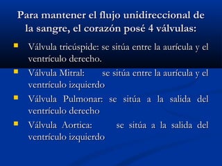 Para mantener el flujo unidireccional dePara mantener el flujo unidireccional de
la sangre, el corazón posé 4 válvulas:la sangre, el corazón posé 4 válvulas:
 Válvula tricúspide: se sitúa entre la aurícula y elVálvula tricúspide: se sitúa entre la aurícula y el
ventrículo derecho.ventrículo derecho.
 Válvula Mitral: se sitúa entre la aurícula y elVálvula Mitral: se sitúa entre la aurícula y el
ventrículo izquierdoventrículo izquierdo
 Válvula Pulmonar: se sitúa a la salida delVálvula Pulmonar: se sitúa a la salida del
ventrículo derechoventrículo derecho
 Válvula Aortica: se sitúa a la salida delVálvula Aortica: se sitúa a la salida del
ventrículo izquierdoventrículo izquierdo
 