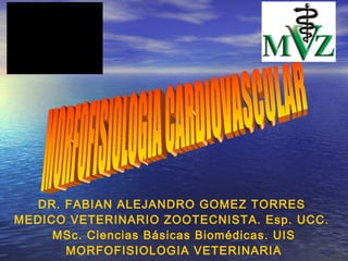 DR. FABIAN ALEJANDRO GOMEZ TORRES
MEDICO VETERINARIO ZOOTECNISTA. Esp. UCC.
MSc. Ciencias Básicas Biomédicas. UIS
MORFOFISIOLOGIA VETERINARIA

 