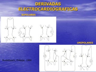 DERIVADAS
ELECTROCARDIOGRAFICAS
Ruckebusch, Philippe. 1994
BIPOLARES
UNIPOLARES
 