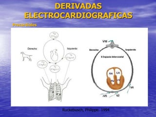 DERIVADAS
ELECTROCARDIOGRAFICAS
Ruckebusch, Philippe. 1994
Precordiales
 