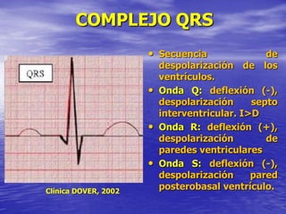 COMPLEJO QRS
• Secuencia de
despolarización de los
ventrículos.
• Onda Q: deflexión (-),
despolarización septo
interventricular. I>D
• Onda R: deflexión (+),
despolarización de
paredes ventriculares
• Onda S: deflexión (-),
despolarización pared
posterobasal ventrículo.Clínica DOVER, 2002
 