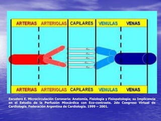 Escudero E. Microcirculación Coronaria: Anatomía, Fisiología y Fisiopatología; su Implicancia
en el Estudio de la Perfusión Miocárdica con Eco-contraste. 2do Congreso Virtual de
Cardiología. Federación Argentina de Cardiología. 1999 – 2001.
 