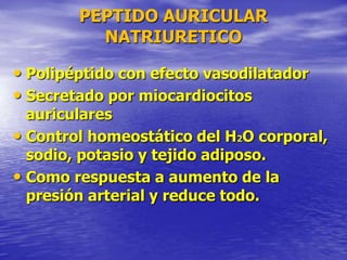 PEPTIDO AURICULAR
NATRIURETICO
• Polipéptido con efecto vasodilatador
• Secretado por miocardiocitos
auriculares
• Control homeostático del H2O corporal,
sodio, potasio y tejido adiposo.
• Como respuesta a aumento de la
presión arterial y reduce todo.
 