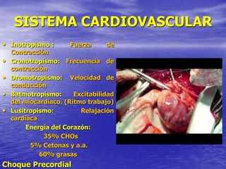 SISTEMA CARDIOVASCULAR
• Inotropismo : Fuerza de
Contracción
• Cronotropismo: Frecuencia de
contracción
• Dromotropismo: Velocidad de
conducción
• Batmotropismo: Excitabilidad
del miocardiaco. (Ritmo trabajo)
• Lusitropismo: Relajación
cardiaca
Energía del Corazón:
35% CHOs
5% Cetonas y a.a.
60% grasas
Choque Precordial
 