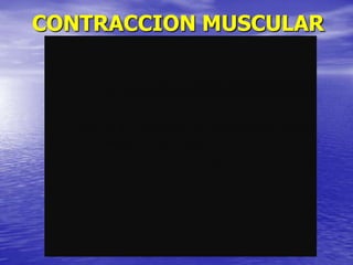 CONTRACCION MUSCULAR
 
