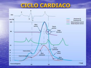 CICLO CARDIACO
 