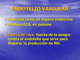 ENDOTELIO VASCULAR
• Funciona como un órgano endocrino
• Produce ECA, en pulmón
• Fuerza de roce: fuerza de la sangre
contra el endotelio que sirve para
disparar la producción de NO.
 