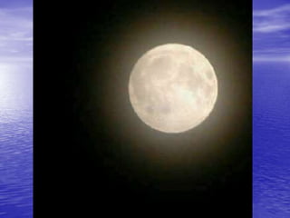 Sistema cardiovascular