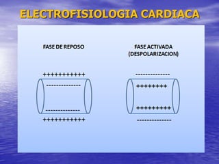 ELECTROFISIOLOGIA CARDIACA
 