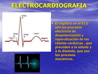 ELECTROCARDIOGRAFIA
• El registro en el ECG
son los procesos
eléctricos de
despolarización y
reporalización de las
células cardíacas , que
preceden a la sístole y
a la diástole, que son
los procesos
mecánicos.
Onda U
 