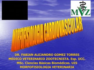 DR. FABIAN ALEJANDRO GOMEZ TORRES
MEDICO VETERINARIO ZOOTECNISTA. Esp. UCC.
MSc. Ciencias Básicas Biomédicas. UIS
MORFOFISIOLOGIA VETERINARIA
 