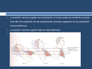 • La presión venosa yugular es la elevación a la que suele ser evidente el punto
mas alto de oscilación de las pulsaciones venosas yugulares en los pacientes
normovolémicos
• La presión venosa yugular baja en hipovolémicos
• Presión venosa yugular es alta e hipervolémicos
 