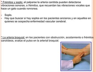 * Frémitos y soplo: al palparse la arteria carótida pueden detectarse
vibraciones sonoras, o frémitos, que recuerdan las vibraciones vocales que
hace un gato cuando ronronea.
- Soplo.
- Hay que buscar si hay soplos en los pacientes ancianos y en aquellos en
quienes se sospecha enfermedad vascular cerebral.
* La arteria braquial: en los pacientes con obstrucción, acodamiento o frémitos
carotídeos, evalúe el pulso en la arterial braquial.
 